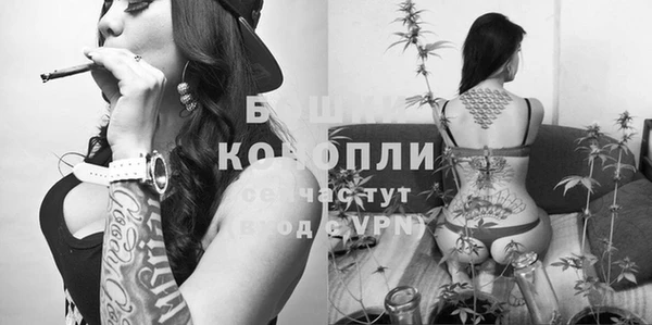 мдпв Богородск