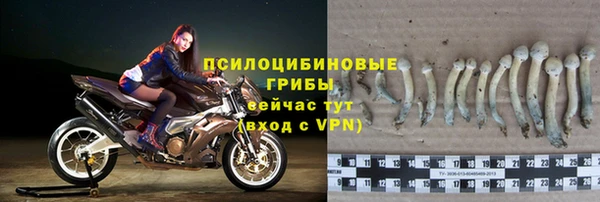 ГАЛЛЮЦИНОГЕННЫЕ ГРИБЫ Белоозёрский