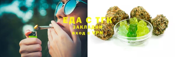 мдпв Богородск