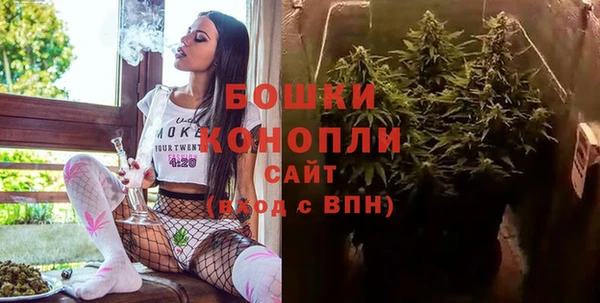 ГАЛЛЮЦИНОГЕННЫЕ ГРИБЫ Белоозёрский
