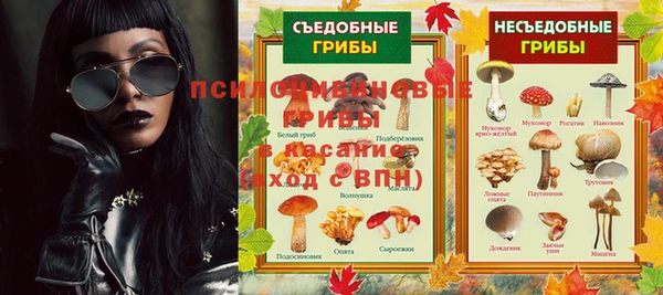 ГАЛЛЮЦИНОГЕННЫЕ ГРИБЫ Белоозёрский