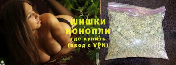 мдпв Богородск