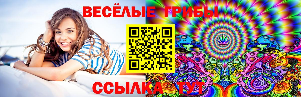 Галлюциногенные грибы Psilocybine cubensis Валуйки